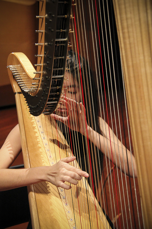 Music Platform: Guitar & Harp | NAFA