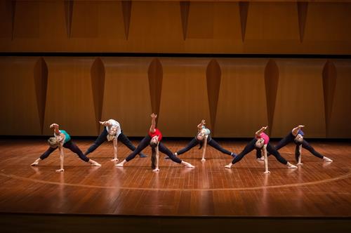 Dance Faciltiies at the Lee Foundation Theatre