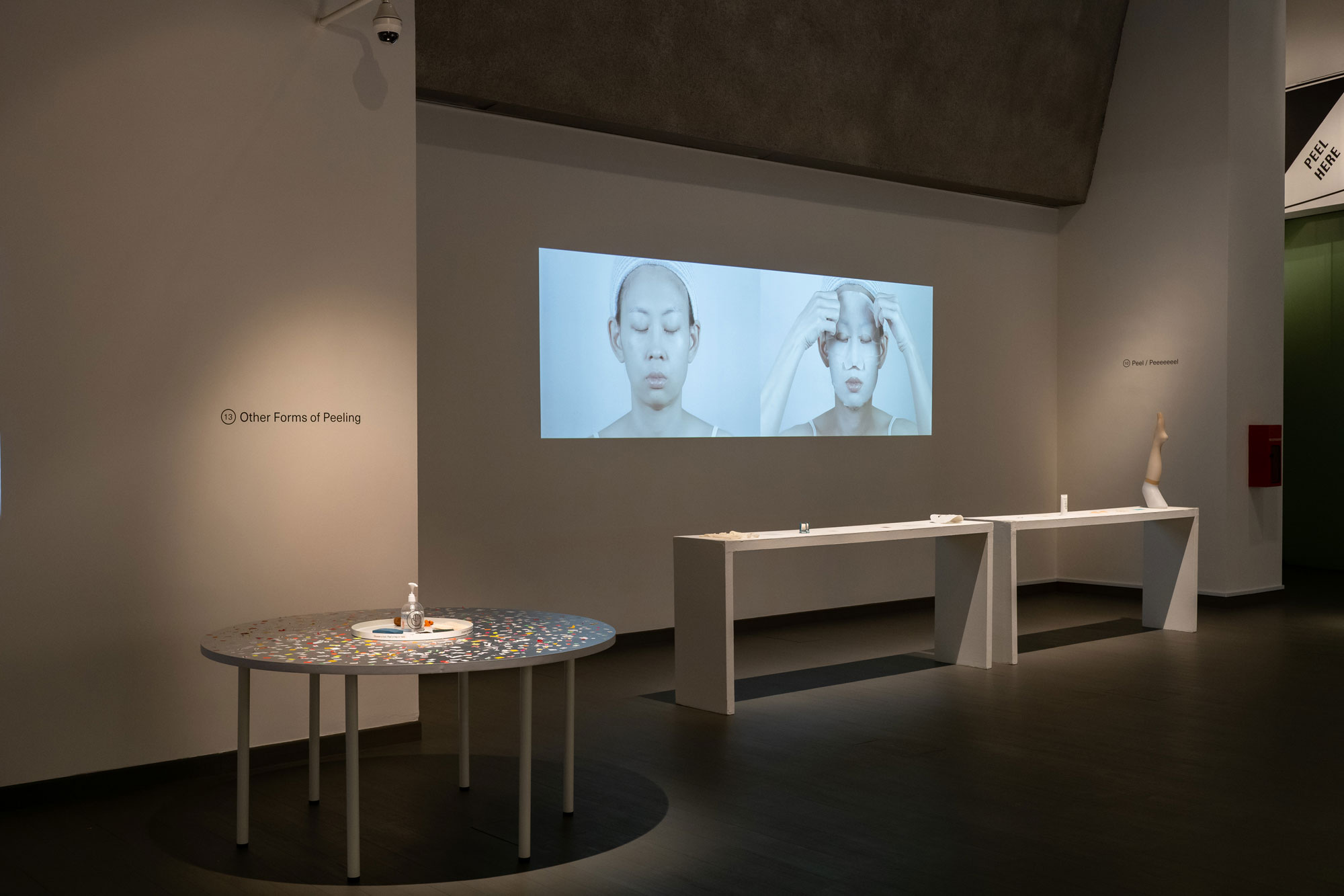 Peel Here Exhibition presented at Lim Hak Tai Gallery