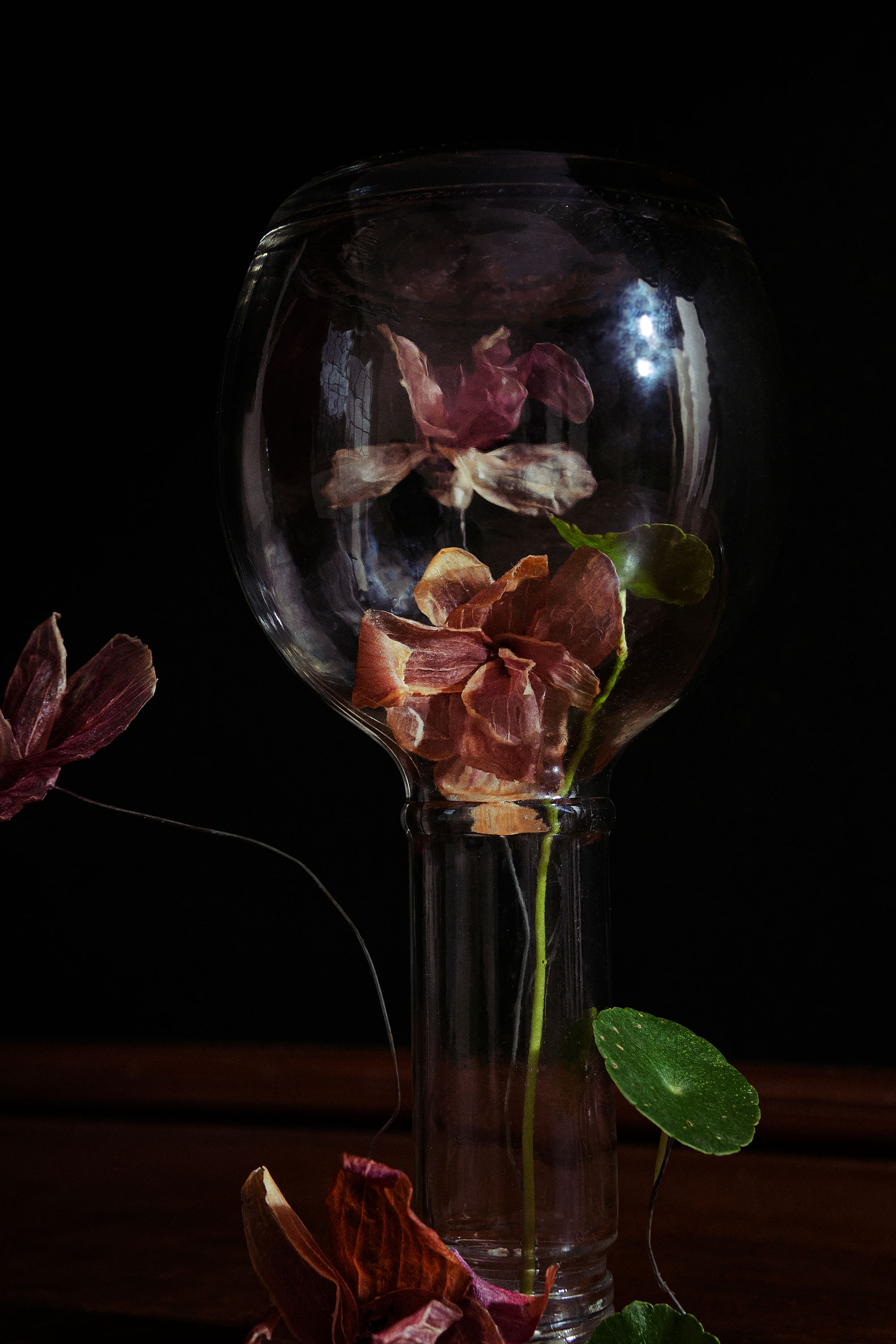 Eat my Smelly Flowers: A Still Life (2021) by Subashri Sankarasubramanian